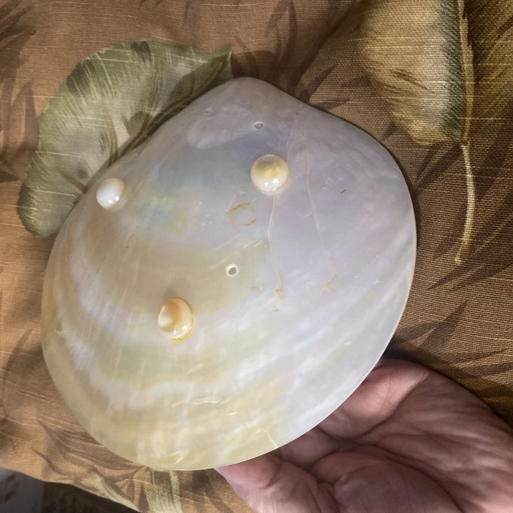Vintage Exquisite Natural Mother of Pearl Shell Footed Caviar Serving Dish 8.5